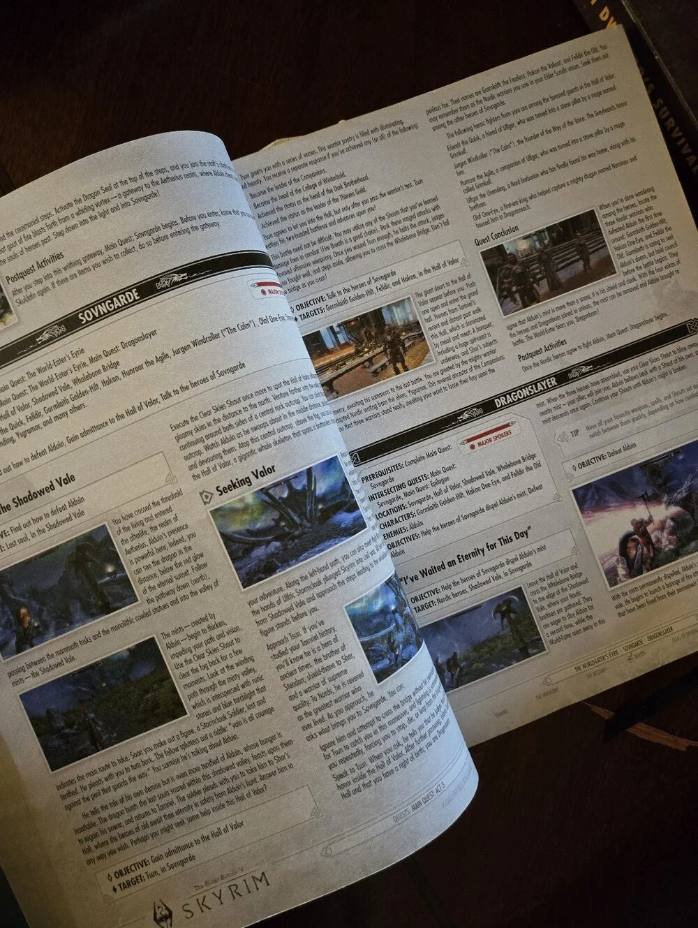 Skyrim Game Guide Collector's Edition